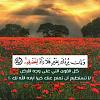 اسلام المهاجر