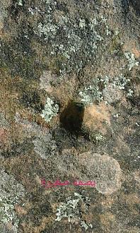 اضغط على الصورة لعرض أكبر. 

الإسم:	IMG_20190612_184328.jpg 
مشاهدات:	148 
الحجم:	198.6 كيلوبايت 
الهوية:	830098