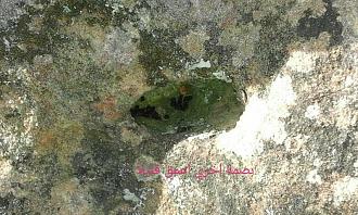 اضغط على الصورة لعرض أكبر. 

الإسم:	IMG_20190612_184422.jpg 
مشاهدات:	151 
الحجم:	166.5 كيلوبايت 
الهوية:	830100