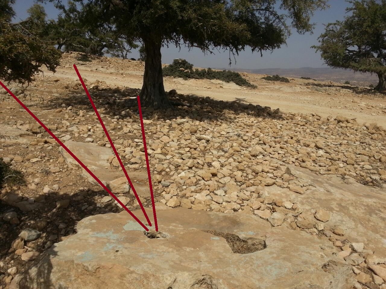 اضغط على الصورة لعرض أكبر. 

الإسم:	image_68027.jpg 
مشاهدات:	117 
الحجم:	370.9 كيلوبايت 
الهوية:	833419