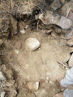 اضغط على الصورة لعرض أكبر. 

الإسم:	IMG_20190608_103756-780x1040.jpg 
مشاهدات:	558 
الحجم:	383.7 كيلوبايت 
الهوية:	835382