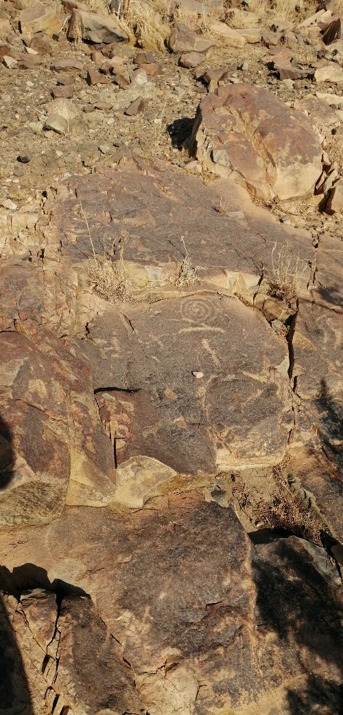 اضغط على الصورة لعرض أكبر. 

الإسم:	IMG_20190731_082324-500x1040.jpg 
مشاهدات:	460 
الحجم:	245.4 كيلوبايت 
الهوية:	835798