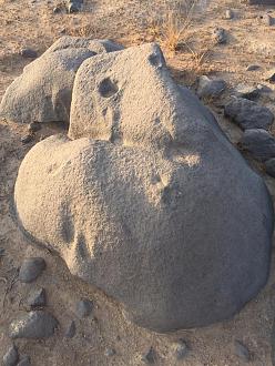 اضغط على الصورة لعرض أكبر. 

الإسم:	IMG-20190804-WA0326.jpg 
مشاهدات:	457 
الحجم:	341.7 كيلوبايت 
الهوية:	836287