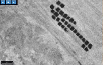 اضغط على الصورة لعرض أكبر. 

الإسم:	1.jpg 
مشاهدات:	6338 
الحجم:	91.9 كيلوبايت 
الهوية:	837411