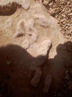 اضغط على الصورة لعرض أكبر. 

الإسم:	IMG_20190812_100024.jpg 
مشاهدات:	903 
الحجم:	231.7 كيلوبايت 
الهوية:	837464