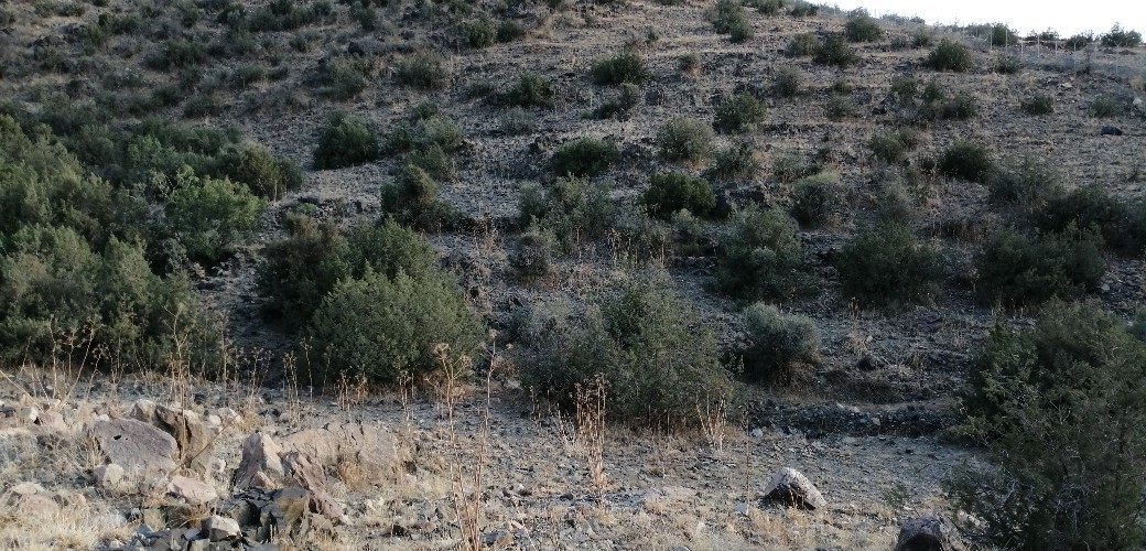 اضغط على الصورة لعرض أكبر. 

الإسم:	IMG_20190821_180638-1040x500.jpg 
مشاهدات:	150 
الحجم:	250.8 كيلوبايت 
الهوية:	838037