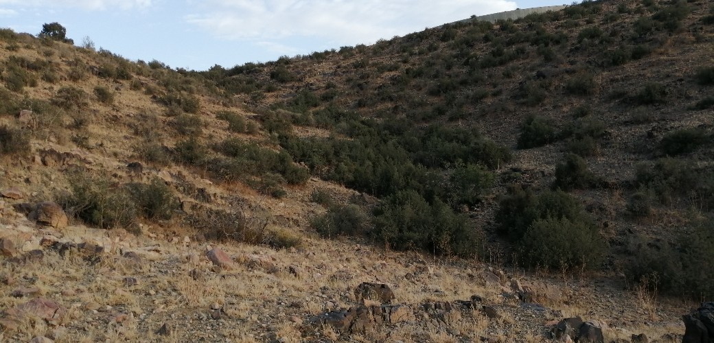 اضغط على الصورة لعرض أكبر. 

الإسم:	IMG_20190821_180439-1040x500.jpg 
مشاهدات:	183 
الحجم:	196.8 كيلوبايت 
الهوية:	838036