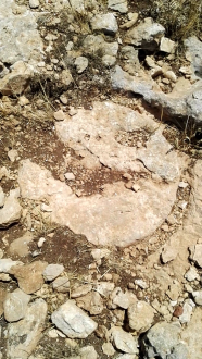 اضغط على الصورة لعرض أكبر. 

الإسم:	Screenshot_2019-09-01-09-22-51-540x960.png 
مشاهدات:	215 
الحجم:	1.24 ميجابايت 
الهوية:	839187