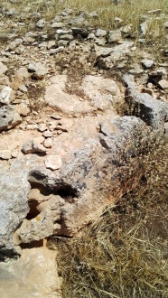 اضغط على الصورة لعرض أكبر. 

الإسم:	Screenshot_2019-09-01-09-23-37-540x960.png 
مشاهدات:	210 
الحجم:	1.21 ميجابايت 
الهوية:	839188