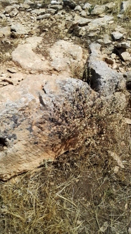 اضغط على الصورة لعرض أكبر. 

الإسم:	Screenshot_2019-09-01-09-24-20-540x960.png 
مشاهدات:	193 
الحجم:	1.32 ميجابايت 
الهوية:	839190