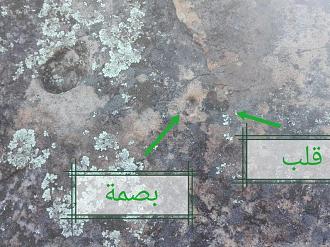 اضغط على الصورة لعرض أكبر. 

الإسم:	IMG_20190912_090156.jpg 
مشاهدات:	211 
الحجم:	182.9 كيلوبايت 
الهوية:	840567