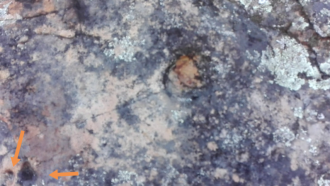 اضغط على الصورة لعرض أكبر. 

الإسم:	IMG_20190912_091650.png 
مشاهدات:	184 
الحجم:	654.6 كيلوبايت 
الهوية:	840569
