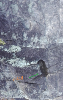 اضغط على الصورة لعرض أكبر. 

الإسم:	IMG_20190912_141054.png 
مشاهدات:	138 
الحجم:	757.1 كيلوبايت 
الهوية:	840589