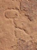 اضغط على الصورة لعرض أكبر. 

الإسم:	1.jpg 
مشاهدات:	237 
الحجم:	6.5 كيلوبايت 
الهوية:	840681