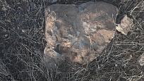 اضغط على الصورة لعرض أكبر. 

الإسم:	10.jpg 
مشاهدات:	205 
الحجم:	212.2 كيلوبايت 
الهوية:	844143