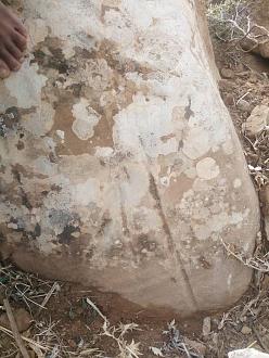 اضغط على الصورة لعرض أكبر. 

الإسم:	IMG-20191103-WA0002.jpg 
مشاهدات:	195 
الحجم:	184.2 كيلوبايت 
الهوية:	844362