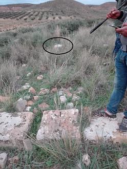 اضغط على الصورة لعرض أكبر. 

الإسم:	1.jpg 
مشاهدات:	236 
الحجم:	192.8 كيلوبايت 
الهوية:	845377