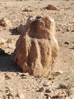 اضغط على الصورة لعرض أكبر. 

الإسم:	IMG_20191114_090228-600x800.jpg 
مشاهدات:	171 
الحجم:	204.7 كيلوبايت 
الهوية:	845436