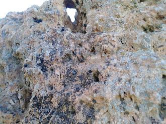 اضغط على الصورة لعرض أكبر. 

الإسم:	IMG_20191128_153143-640x480.jpg 
مشاهدات:	206 
الحجم:	145.2 كيلوبايت 
الهوية:	845910