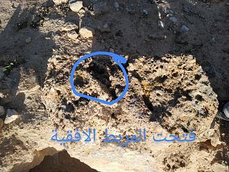 اضغط على الصورة لعرض أكبر. 

الإسم:	IMG_20191128_153125~2-800x600.jpg 
مشاهدات:	263 
الحجم:	248.3 كيلوبايت 
الهوية:	846025
