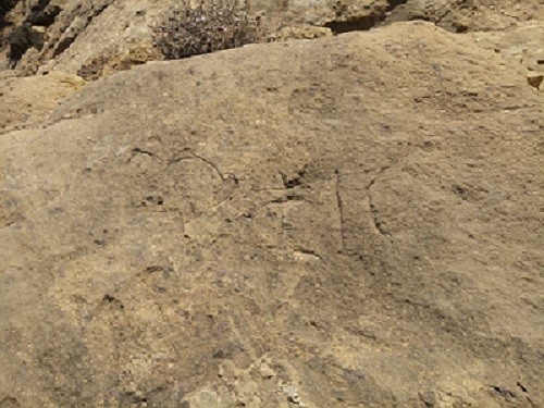 اضغط على الصورة لعرض أكبر. 

الإسم:	4.jpg 
مشاهدات:	312 
الحجم:	74.3 كيلوبايت 
الهوية:	846893