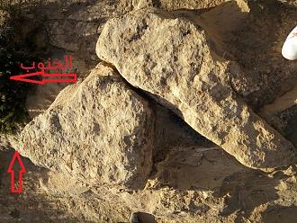 اضغط على الصورة لعرض أكبر. 

الإسم:	1.jpg 
مشاهدات:	218 
الحجم:	136.2 كيلوبايت 
الهوية:	847495