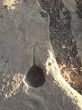 اضغط على الصورة لعرض أكبر. 

الإسم:	IMG-20200207-WA0012.jpg 
مشاهدات:	571 
الحجم:	208.8 كيلوبايت 
الهوية:	849685