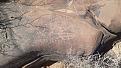 اضغط على الصورة لعرض أكبر. 

الإسم:	db60ddd9-a2a6-4e22-b03b-cc382dc0e879.jpg 
مشاهدات:	253 
الحجم:	194.5 كيلوبايت 
الهوية:	850450