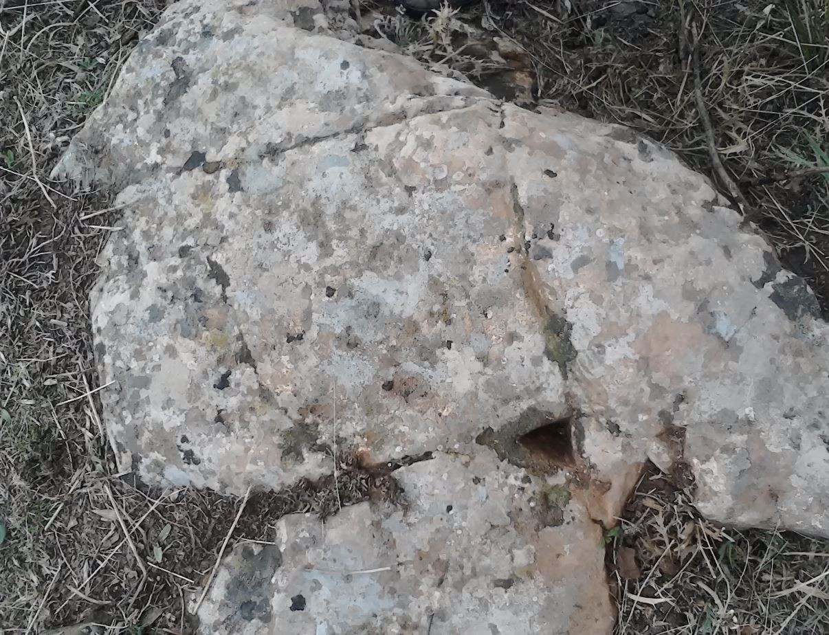 اضغط على الصورة لعرض أكبر. 

الإسم:	tr03.JPG 
مشاهدات:	170 
الحجم:	350.9 كيلوبايت 
الهوية:	851194
