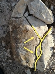 اضغط على الصورة لعرض أكبر. 

الإسم:	IMG_٢٠٢٠٠٥٠٨_١٩٤٧٤٤_copy_724x965_copy_181x241.jpg 
مشاهدات:	956 
الحجم:	23.3 كيلوبايت 
الهوية:	855358