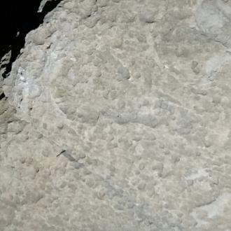 اضغط على الصورة لعرض أكبر. 

الإسم:	Image-4451.jpg 
مشاهدات:	266 
الحجم:	98.9 كيلوبايت 
الهوية:	855588