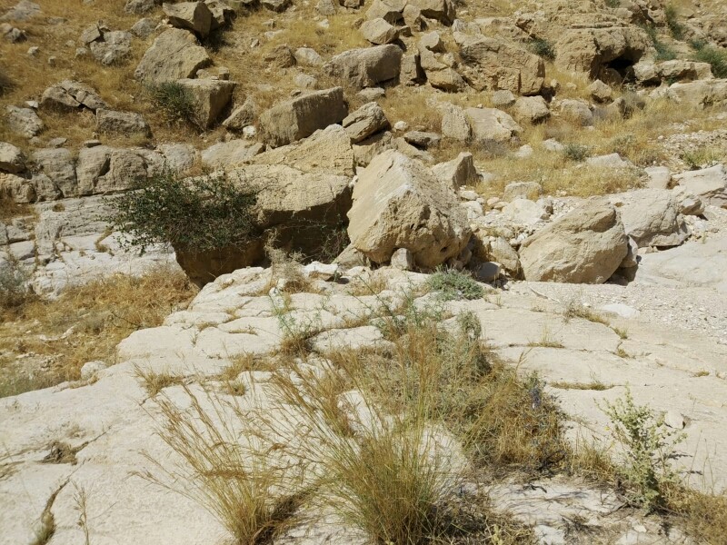 اضغط على الصورة لعرض أكبر. 

الإسم:	Image-6047.jpg 
مشاهدات:	129 
الحجم:	211.3 كيلوبايت 
الهوية:	855717