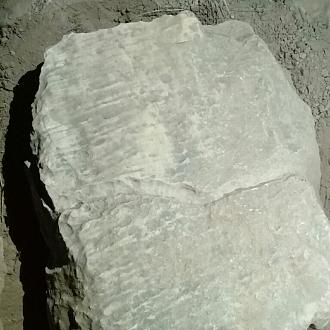 اضغط على الصورة لعرض أكبر. 

الإسم:	Image-4442.jpg 
مشاهدات:	143 
الحجم:	119.6 كيلوبايت 
الهوية:	856361