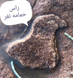 اضغط على الصورة لعرض أكبر.   الإسم:	حمامه نفر.jpg  مشاهدات:	0  الحجم:	118.9 كيلوبايت  الهوية:	856350