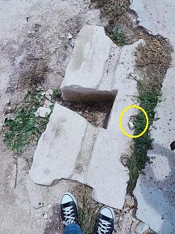 اضغط على الصورة لعرض أكبر. 

الإسم:	image_73609.jpg 
مشاهدات:	322 
الحجم:	152.8 كيلوبايت 
الهوية:	856540