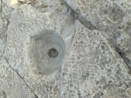 اضغط على الصورة لعرض أكبر. 

الإسم:	Image-9885.jpg 
مشاهدات:	1775 
الحجم:	20.5 كيلوبايت 
الهوية:	857050