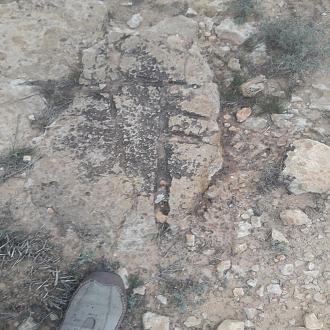 اضغط على الصورة لعرض أكبر. 

الإسم:	20210324_172815.jpg 
مشاهدات:	424 
الحجم:	416.0 كيلوبايت 
الهوية:	869104
