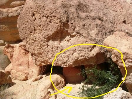 اضغط على الصورة لعرض أكبر. 

الإسم:	GEDC0082.jpg 
مشاهدات:	3850 
الحجم:	52.3 كيلوبايت 
الهوية:	870231