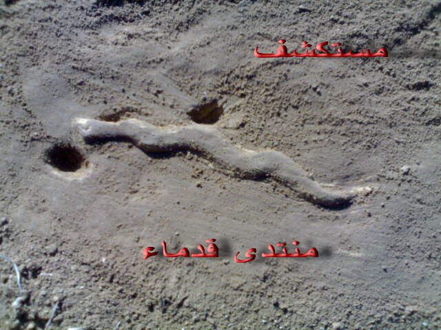 اضغط على الصورة لعرض أكبر. 

الإسم:	نفر..jpg 
مشاهدات:	1 
الحجم:	85.0 كيلوبايت 
الهوية:	760387