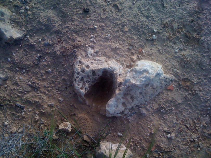 اضغط على الصورة لعرض أكبر.&nbsp;

الإسم:	IMG_0296.jpg&nbsp;
مشاهدات:	1&nbsp;
الحجم:	97.5 كيلوبايت&nbsp;
الهوية:	763910