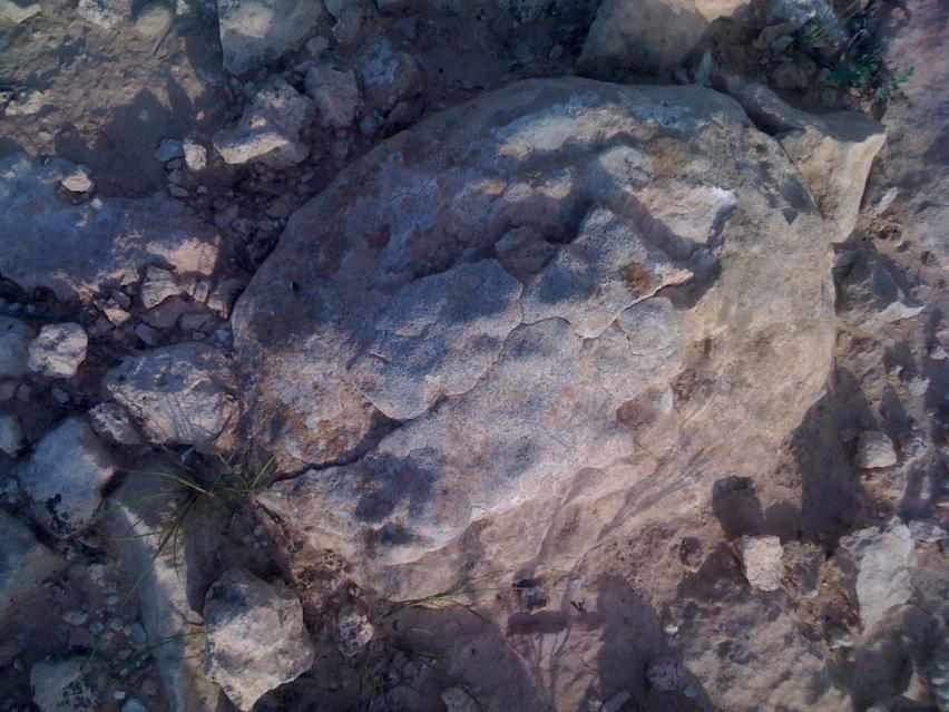 اضغط على الصورة لعرض أكبر.&nbsp;

الإسم:	IMG_0297.jpg&nbsp;
مشاهدات:	1&nbsp;
الحجم:	96.3 كيلوبايت&nbsp;
الهوية:	763911