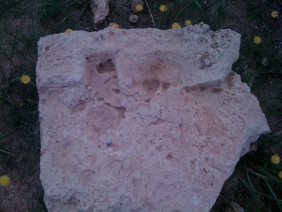 اضغط على الصورة لعرض أكبر.&nbsp;

الإسم:	IMG_0242.jpg&nbsp;
مشاهدات:	1&nbsp;
الحجم:	94.8 كيلوبايت&nbsp;
الهوية:	763909