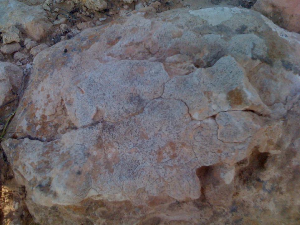 اضغط على الصورة لعرض أكبر.&nbsp;

الإسم:	IMG_0298.jpg&nbsp;
مشاهدات:	1&nbsp;
الحجم:	93.2 كيلوبايت&nbsp;
الهوية:	763912