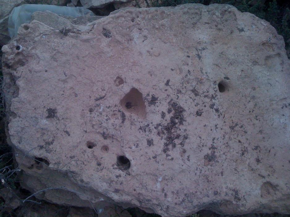 اضغط على الصورة لعرض أكبر.&nbsp;

الإسم:	IMG_0241.jpg&nbsp;
مشاهدات:	1&nbsp;
الحجم:	94.9 كيلوبايت&nbsp;
الهوية:	763908