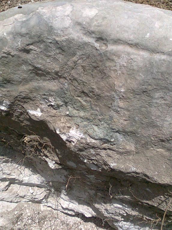 اضغط على الصورة لعرض أكبر.&nbsp;

الإسم:	Copy of Photo0121.jpg&nbsp;
مشاهدات:	1&nbsp;
الحجم:	98.9 كيلوبايت&nbsp;
الهوية:	763340