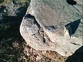 IMG026.JPG