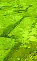 اضغط على الصورة لعرض أكبر. 

الإسم:	IMG0225A.jpg 
مشاهدات:	165 
الحجم:	39.2 كيلوبايت 
الهوية:	715102
