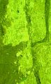 اضغط على الصورة لعرض أكبر. 

الإسم:	IMG0226A.jpg 
مشاهدات:	180 
الحجم:	39.2 كيلوبايت 
الهوية:	715103