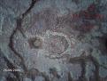 اضغط على الصورة لعرض أكبر. 

الإسم:	حرف نون.JPG 
مشاهدات:	1058 
الحجم:	67.9 كيلوبايت 
الهوية:	715753