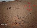 اضغط على الصورة لعرض أكبر. 

الإسم:	الجبل والقبر جنوبه.jpg 
مشاهدات:	162 
الحجم:	83.1 كيلوبايت 
الهوية:	715756